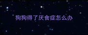 狗狗得了厌食症怎么办