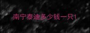 南宁泰迪多少钱一只