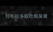 拉布拉多呕吐眼屎黄