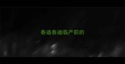 泰迪泰迪临产前的