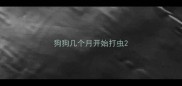狗狗几个月开始打虫