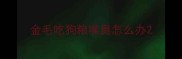 金毛吃狗粮嘴臭怎么办