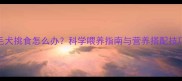 两个月大金毛犬挑食怎么办科学喂养指南与营养搭配技巧附食谱