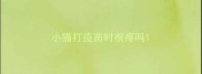 小猫打疫苗时很疼吗