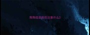 狗狗疫苗前后注意什么