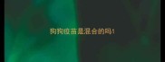 狗狗疫苗是混合的吗