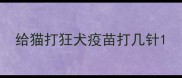 给猫打狂犬疫苗打几针