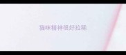 猫咪精神很好拉稀