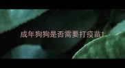 成年狗狗是否需要打疫苗
