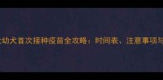 边境牧羊犬幼犬首次接种疫苗全攻略时间表注意事项与常见问题