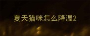 夏天猫咪怎么降温