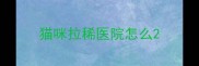 猫咪拉稀医院怎么