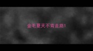 金毛夏天不肯走路