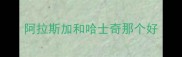 阿拉斯加和哈士奇那个好