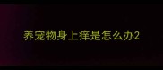 养宠物身上痒是怎么办