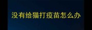 没有给猫打疫苗怎么办