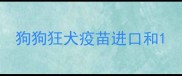狗狗狂犬疫苗进口和
