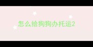怎么给狗狗办托运