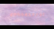宠物狗泰迪名字大全