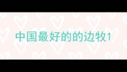 中国最好的的边牧