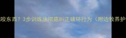 边牧乱咬东西3步训练法彻底纠正破坏行为附边牧养护全攻略