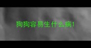 狗狗容易生什么病