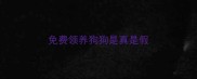 免费领养狗狗是真是假