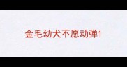 金毛幼犬不愿动弹