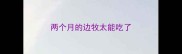 两个月的边牧太能吃了
