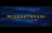 狗打完疫苗能不能吃生肉