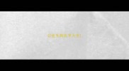 公金毛狗名字大全