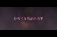 拉布拉多狗能吃肉不