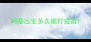 柯基出生多久能打疫苗