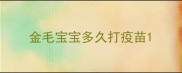 金毛宝宝多久打疫苗