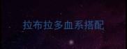 拉布拉多血系搭配