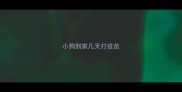 小狗到家几天打疫苗