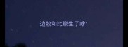边牧和比熊生了啥