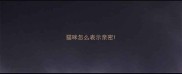 猫咪怎么表示亲密