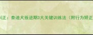 宠物行为纠正泰迪犬叛逆期3大关键训练法附行为矫正全攻略