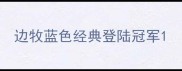 边牧蓝色经典登陆冠军