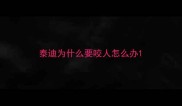 泰迪为什么要咬人怎么办
