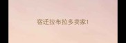 宿迁拉布拉多卖家