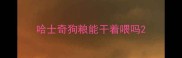 哈士奇狗粮能干着喂吗