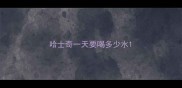 哈士奇一天要喝多少水