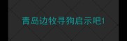 青岛边牧寻狗启示吧