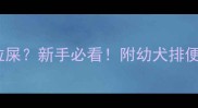 刚出生小狗多久拉屎新手必看附幼犬排便时间表和护理指南
