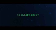 3个月小猫牙齿断了