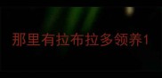 那里有拉布拉多领养