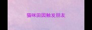猫咪田园触发朋友