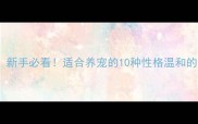 最全指南新手必看适合养宠的10种性格温和的宠物狗推荐